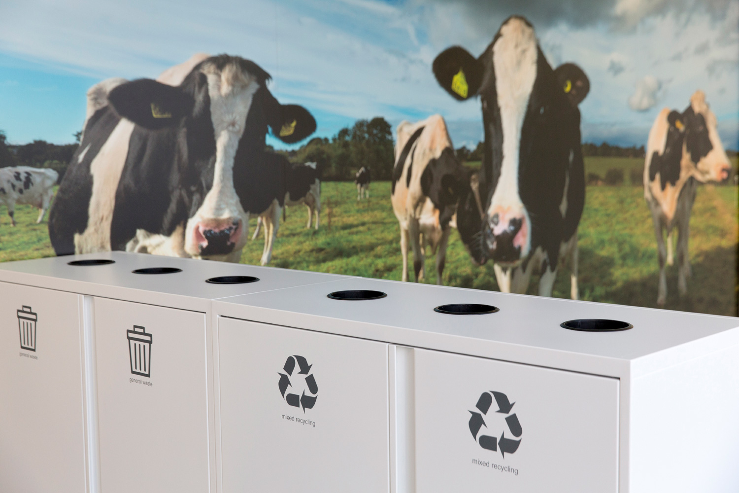 High quality internal design - recycling facilities with supergraphic of a field of cows in the background