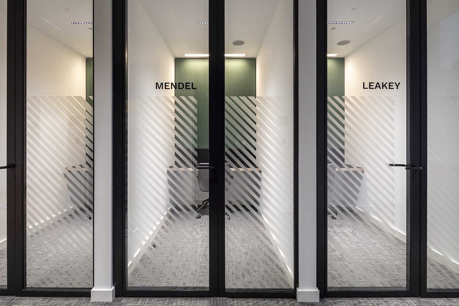 Biopharmaceutical - phone/quiet working booths