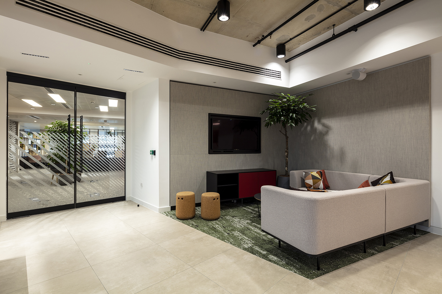 Biopharmaceutical - agile working/informal meeting