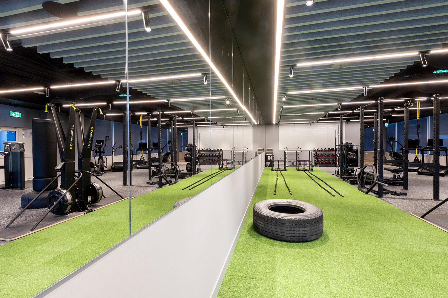 Pharmaceutical - Gym