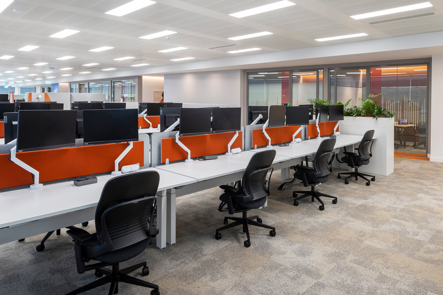 Pharmaceutical - Open plan