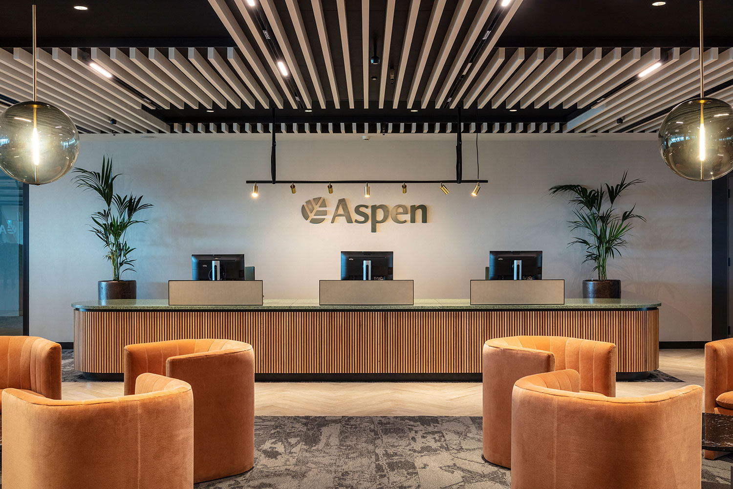Aspen Re - Reception