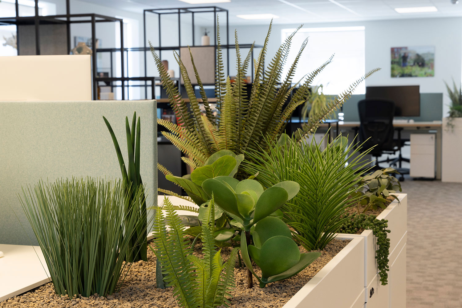 ECF charitable fund - Open plan greenery