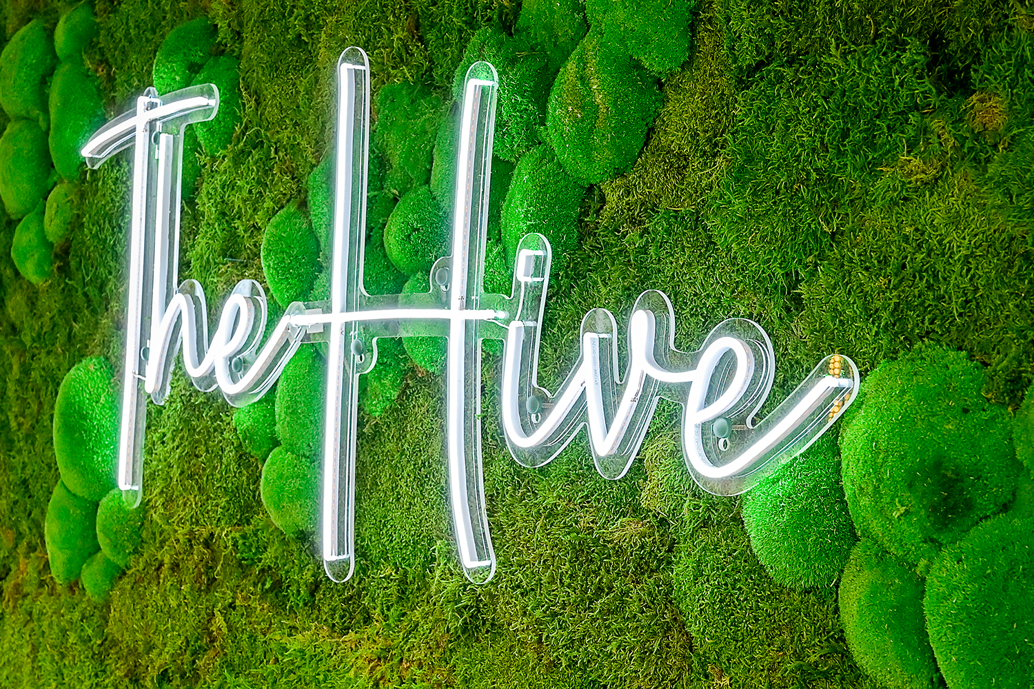 MRSI Manchester - signage, moss wall