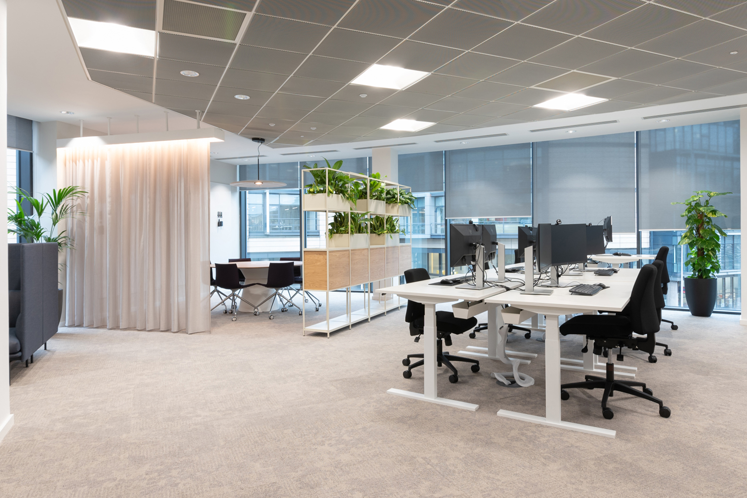 Open plan and collaborative work space